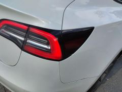 Tesla Model 3 Standard Range Edition 3D6 - фото 5