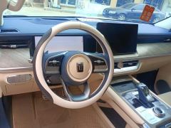 Tank 500 Edition 3.0T Version 5 - ფოტო 16