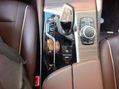 BMW 5 Series Facelift 530Li xDrive Luxury Package - ფოტო 19