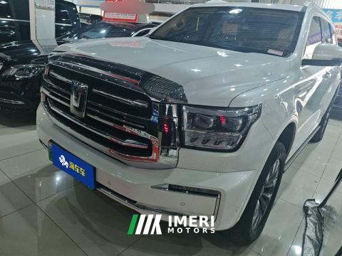 2023 Tank 500 New Energy 2.0T Hi4-T - car from China