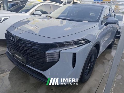 2022 Venucia &Large V 260T Edition