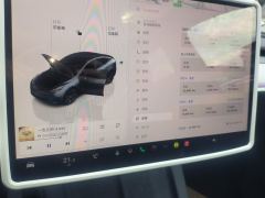 Tesla Model Y 554km Rear-Wheel Drive Edition - photo 20