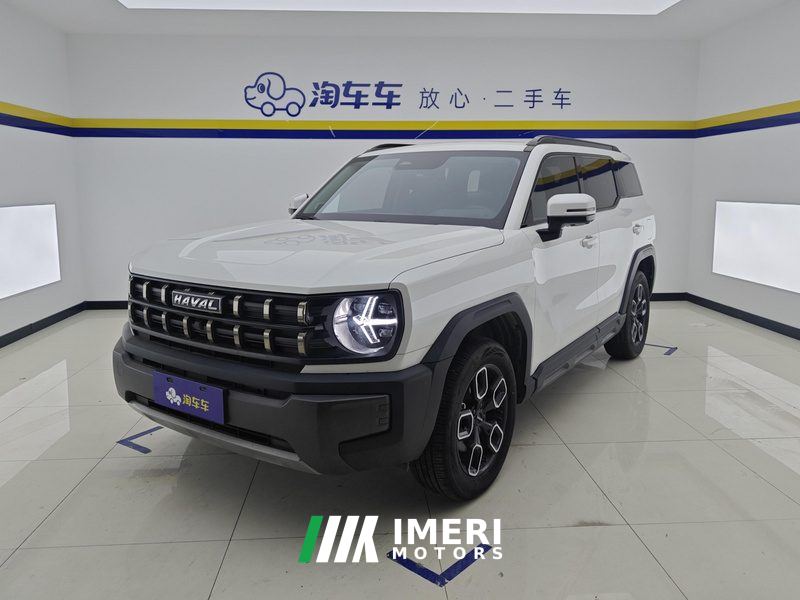 Haval Cool Dog 1.5T 2WD Edition - car from China