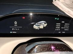 Zeekr MIX 702km Long RangeSmart Drive Edition - ფოტო 20