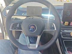 BYD Qin PLUS DM-i 55km Flagship - ფოტო 18