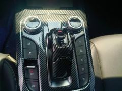Tank 300 Off-Road Edition 2.0T Conqueror - photo 19