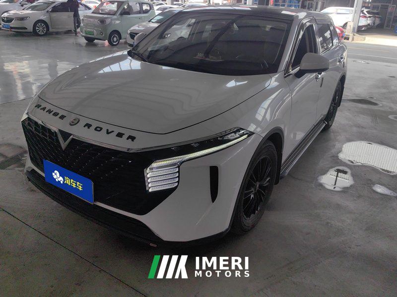 Venucia V 260T DCT Idol Edition - car from China