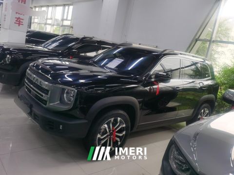 2024 Haval Great Wall Big Dog 1.5T 2WD Edition - ავტომობილი ჩინეთიდან