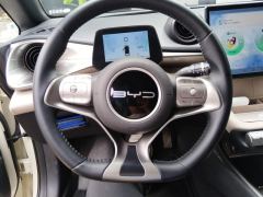 BYD Dolphin 420km Stylish Edition - photo 18
