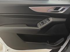 Great Wall Cannon Edition 2.0T 2WD Version - ფოტო 12
