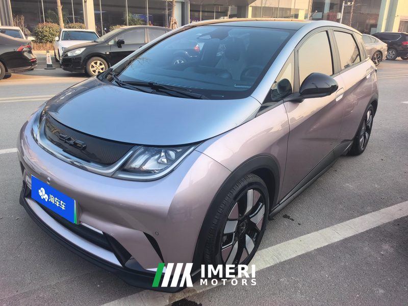 BYD Dolphin 401km Knight Edition - ავტომობილი ჩინეთიდან