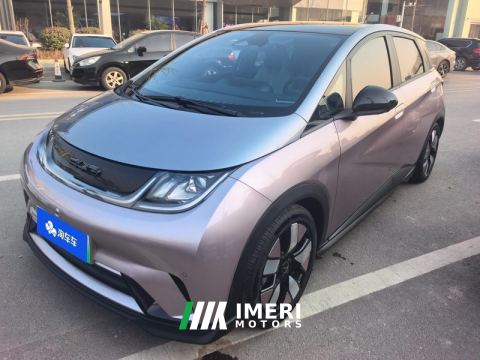 2023 BYD Dolphin 401km Knight Edition - ავტომობილი ჩინეთიდან