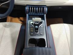 BYD Yuan PLUS 510KM Flagship - photo 19