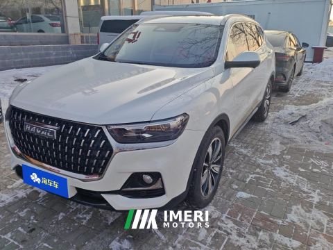 2023 Haval H6 Guochao Edition 1.5T 2WD Urban Edition - ავტომობილი ჩინეთიდან