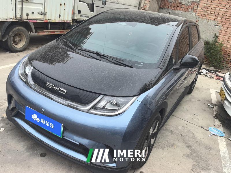 BYD Dolphin 401km Knight Edition