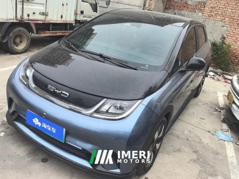 2023 BYD Dolphin 401km Knight Edition - автомобиль из Китая