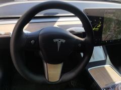 Tesla Model 3 Standard Range Edition 3D1 - ფოტო 16