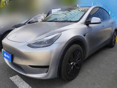 Tesla Model Y 554km Rear-Wheel Drive Edition - фото 1