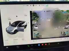 Tesla Model Y 554km Rear-Wheel Drive Edition - фото 20
