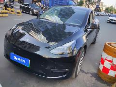 Tesla Model Y Standard endurance rear-wheel drive - фото 1