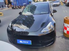 Tesla Model Y Standard endurance rear-wheel drive - фото 3