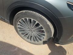 Changan Yaoguang 400T AWD Edition - ფოტო 6
