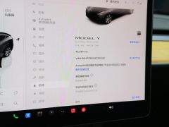 Tesla Model Y 660km Long Range AWD - ფოტო 20