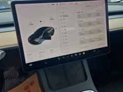 Tesla Model 3 Standard Range Edition - ფოტო 20