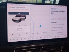 Li Auto Li L8 Pro - photo 17