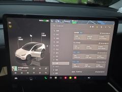 Tesla Model Y 554km Rear-Wheel Drive Edition - ფოტო 20