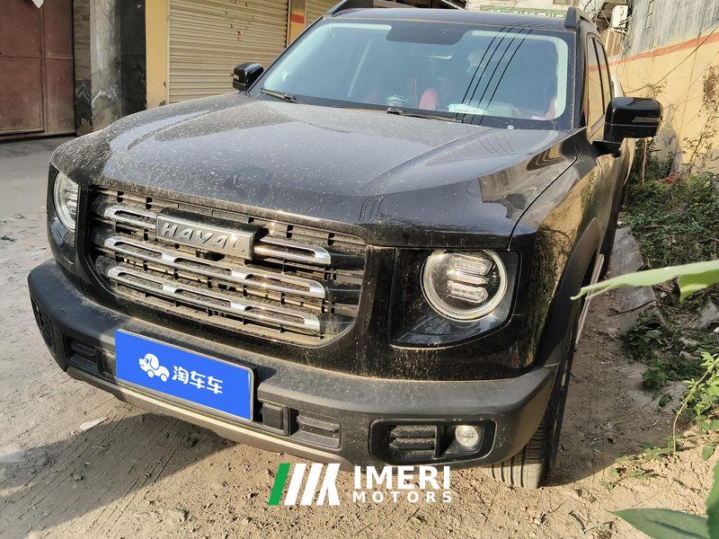 Haval Great Wall Big Dog Great Wall Dog 1.5T Two-wheel drive Labrador version - автомобиль из Китая