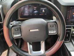 Haval Great Wall Big Dog Great Wall Dog 1.5T Two-wheel drive Labrador version - фото 18