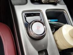 Haval Great Wall Big Dog Great Wall Dog 1.5T Two-wheel drive Labrador version - фото 19