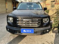 Haval Great Wall Big Dog Great Wall Dog 1.5T Two-wheel drive Labrador version - фото 3