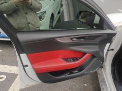 Jaguar XEL P250 Edition - ფოტო 12