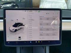 Tesla Model 3 556km Rear-Wheel Drive Edition - ფოტო 20