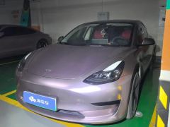 Tesla Model 3 556km Rear-Wheel Drive Edition - фото 1