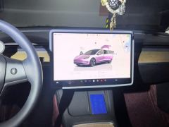 Tesla Model 3 556km Rear-Wheel Drive Edition - фото 17