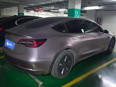Tesla Model 3 556km Rear-Wheel Drive Edition - фото 2