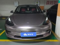 Tesla Model 3 556km Rear-Wheel Drive Edition - фото 3