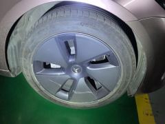 Tesla Model 3 556km Rear-Wheel Drive Edition - фото 6