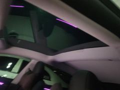 Tesla Model 3 634km Rear-Wheel Drive Edition - photo 15
