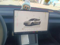 Tesla Model 3 606km Rear-Wheel Drive Edition - ფოტო 17
