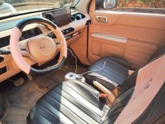 Geely Galaxy Panda mini 200km Animated Bear - ფოტო 16