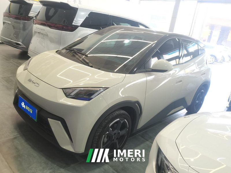 BYD Seagull 305km Free Version - ავტომობილი ჩინეთიდან