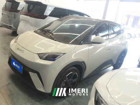 2023 BYD Seagull 305km Free Version - car from China