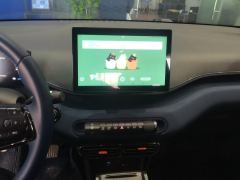 BYD Seagull 305km Free Version - ფოტო 17