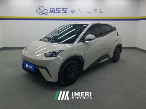 2023 BYD Seagull 305km Vitality Edition - car from China