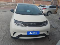 BYD Dolphin Honor Edition 420km Stylish Edition - ფოტო 3