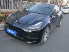 Tesla Model Y Standard endurance rear-wheel drive - ფოტო 1